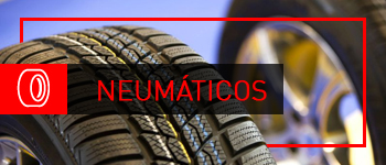 Neumáticos Neumáticos